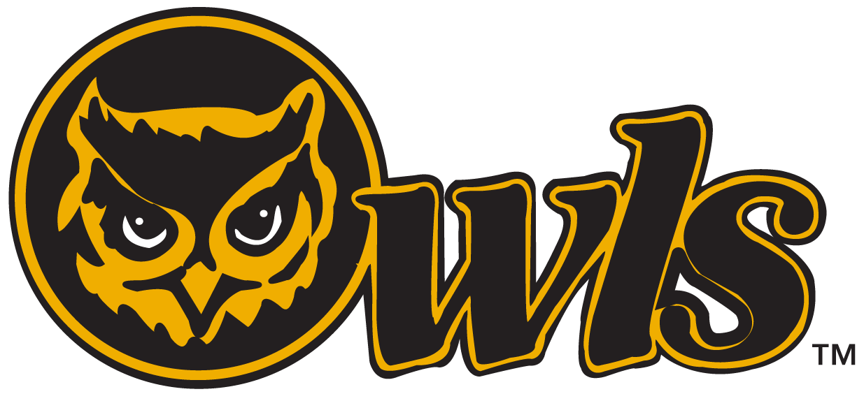 Kennesaw State Owls 0-2011 Secondary Logo v2 diy fabric transfer